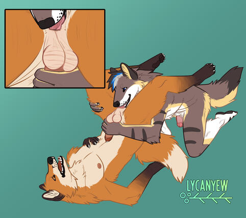 Commission Fledo